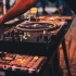 The Best Jungle Music Artists to Know