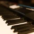 The Best Tuning the Pianos for the Money