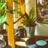 The History of Jungle Music