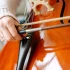 The Ultimate Guide to Cello String