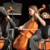 The Ultimate Guide to Electric Cellos
