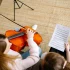 The Ultimate Guide to Stentor Violins