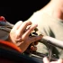 Trumpet Mute Explained: Features, Types and Tips