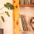 Vinyl Record Storage Explained: Features, Types and Tips