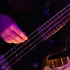 Yamaha Electric Bass Guitar: A Complete Buyer's Guide