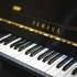 Yamaha Fg800 Explained: Features, Types and Tips