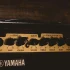 Yamaha Guitar Company: A Complete Buyer's Guide