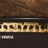 Yamaha Guitar Company Explained: Features, Types and Tips