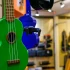 Beginner Ukulele: A Complete Buyer's Guide