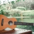 Beginner Ukulele Explained: Features, Types and Tips