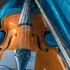 Cello Case Explained: Features, Types and Tips