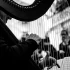Celtic Harp for Beginners: A Complete Guide
