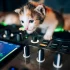 Dj Controller for Beginners: A Complete Guide