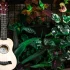 Fender Ukulele: A Complete Buyer's Guide