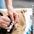 Guitar Polish for Beginners: A Complete Guide