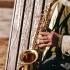 Pocket Trumpet: A Complete Buyer's Guide