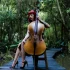 The Best Cellos for the Money