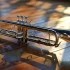 The Best Dixieland Horns for the Money