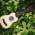 The Best Mandolin Strings for the Money