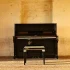 The Best Roland Piano Keys for the Money