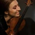 The Best Violin Strings for the Money