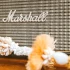 The Ultimate Guide to Marshall Studios