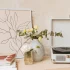 Turntable Cartridge for Beginners: A Complete Guide