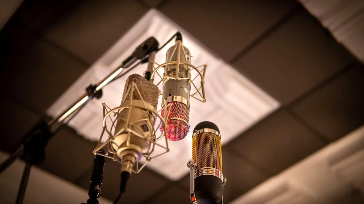 What to Look for When Buying Mics