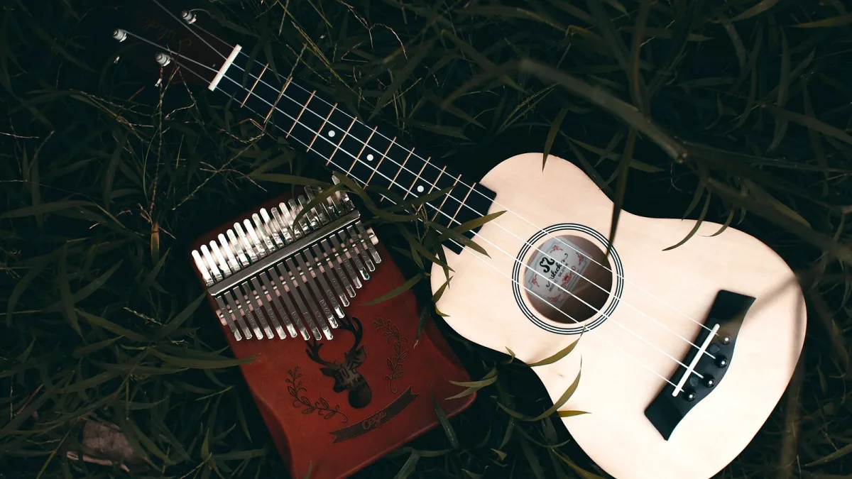 5 String Banjo: A Complete Buyer's Guide