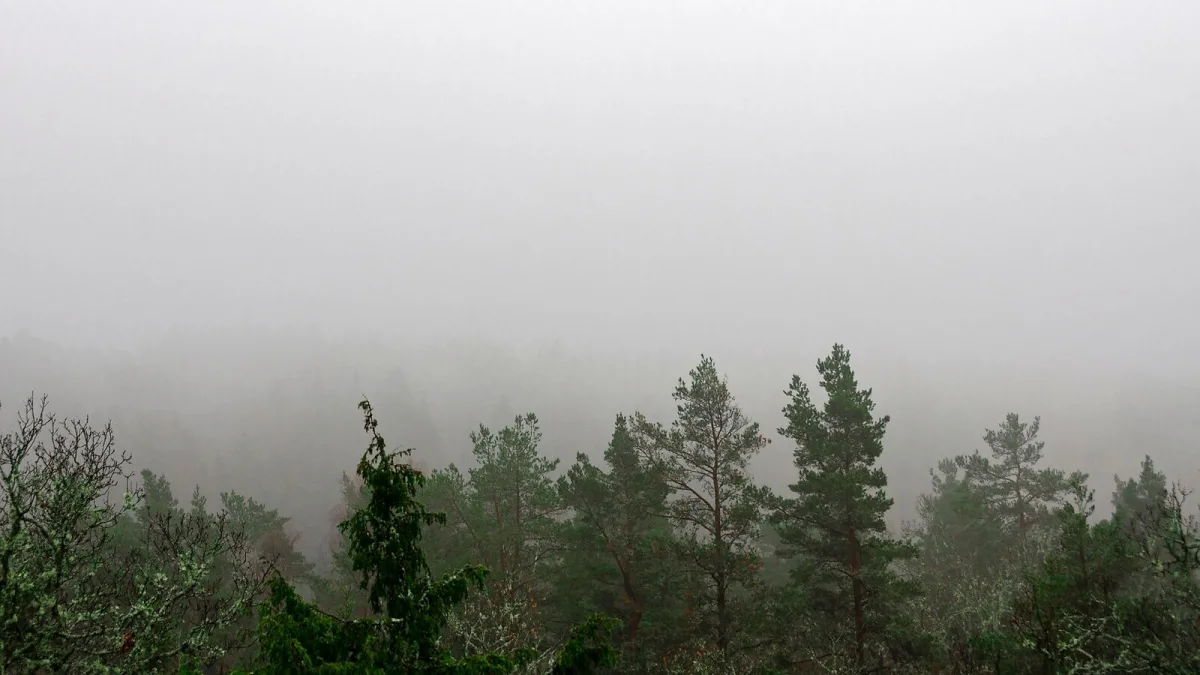 A Beginner's Guide to Black Metal