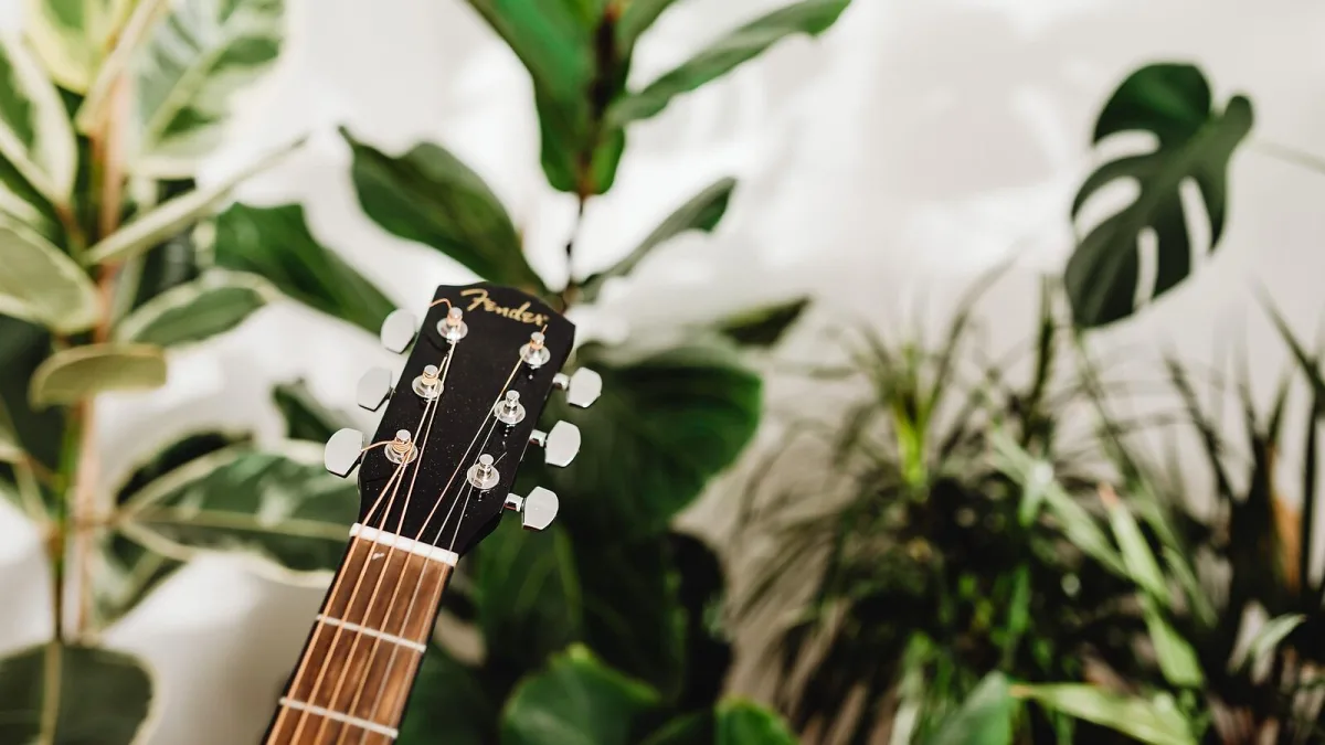 A Guide to Fender Tuners