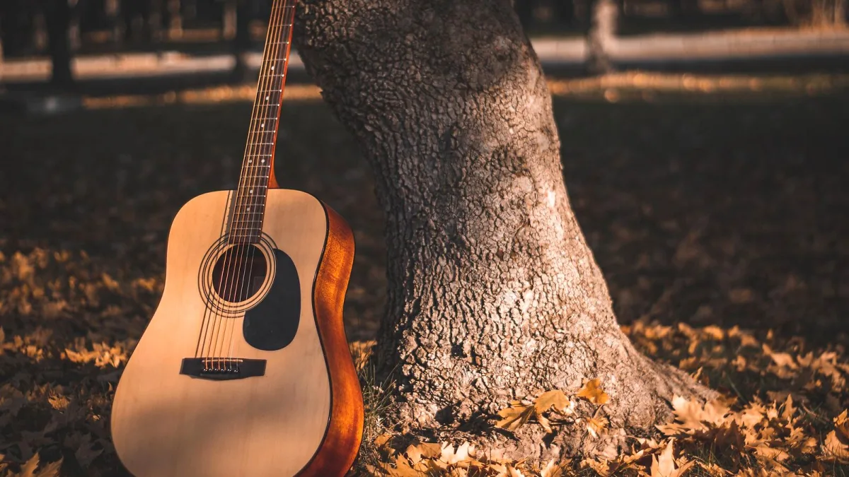 A Guide to Left Acoustic Guitar