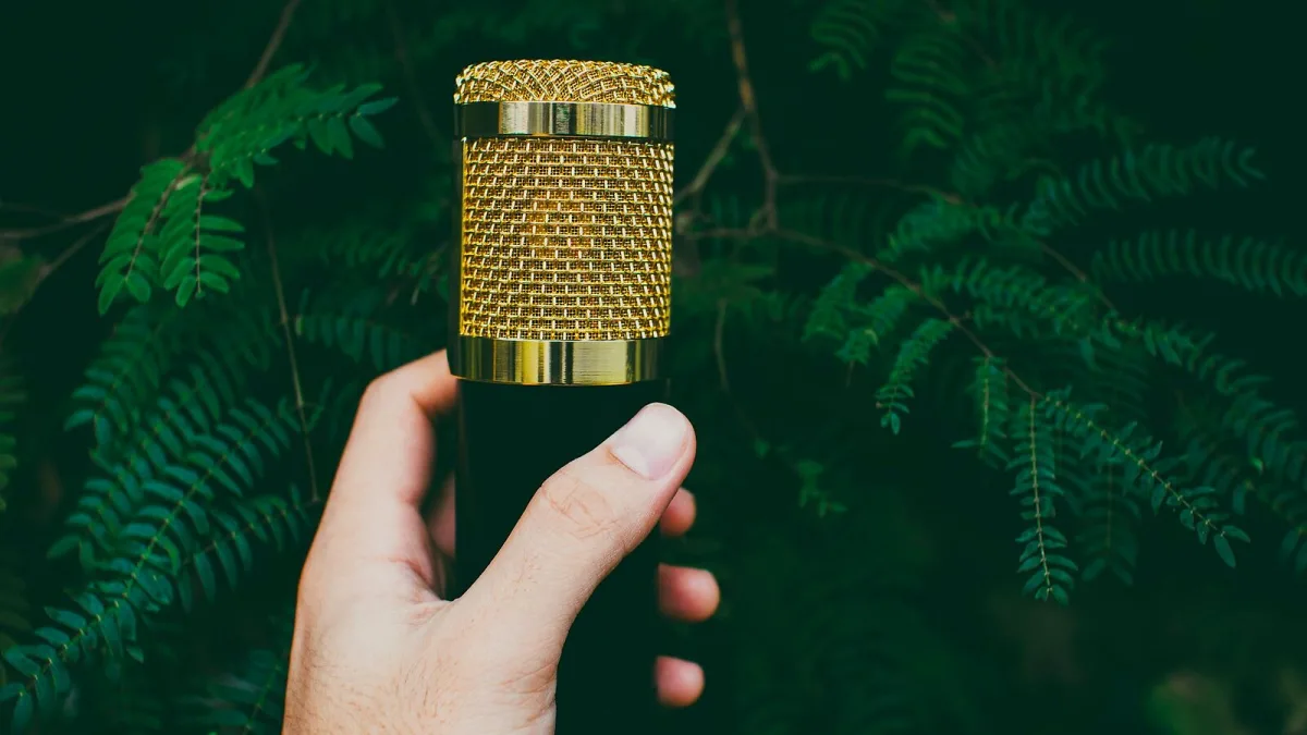 A Guide to Microphone and Recorder