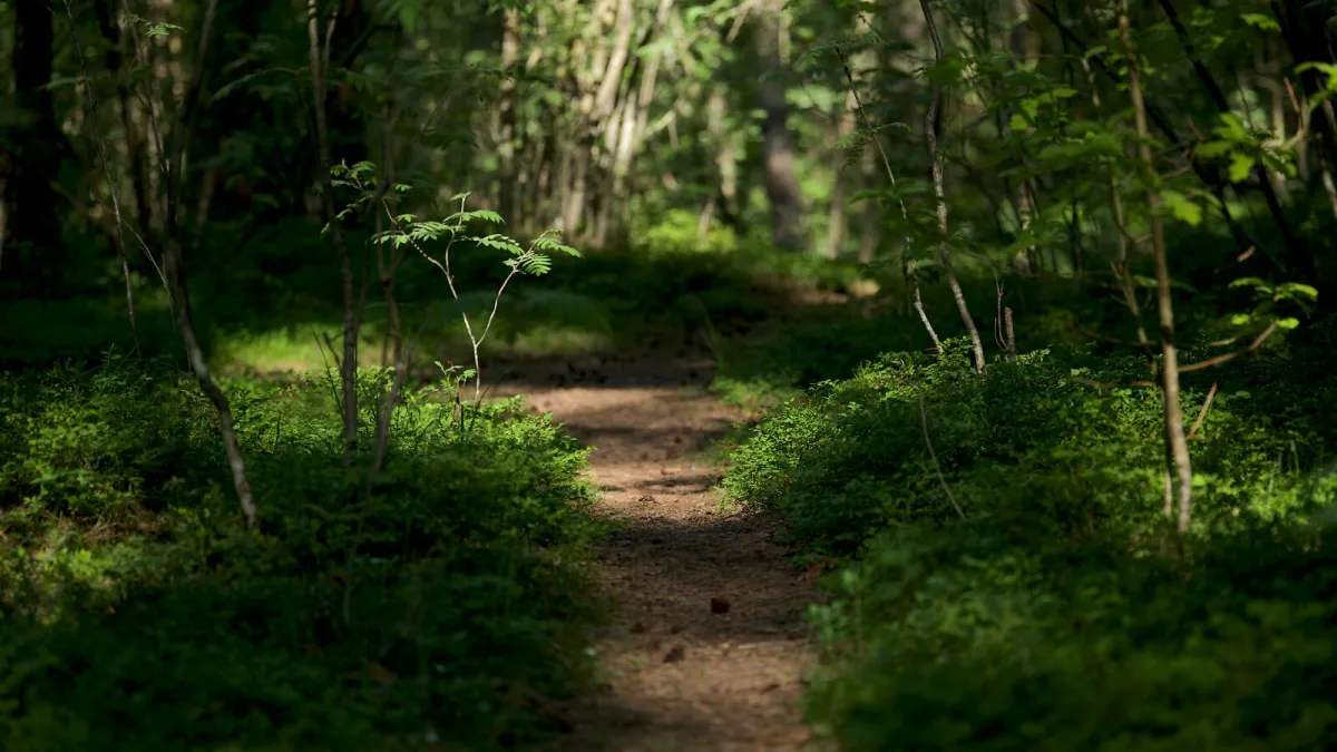 Ambient Music for Newcomers: Where to Start