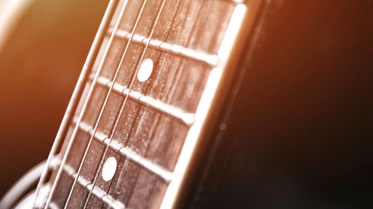 Autoharp Explained: Features, Types and Tips