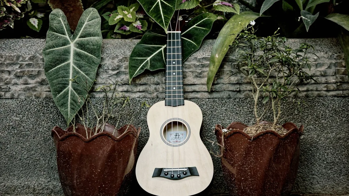 Baritone Ukulele: A Complete Buyer's Guide