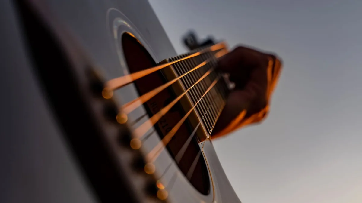 Bass Strings 5 String Explained: Features, Types and Tips