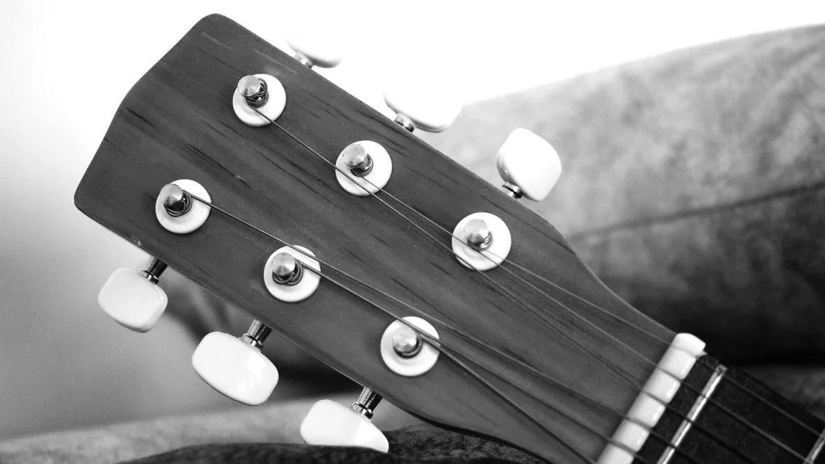 Bossa Nova Subgenres, Explained