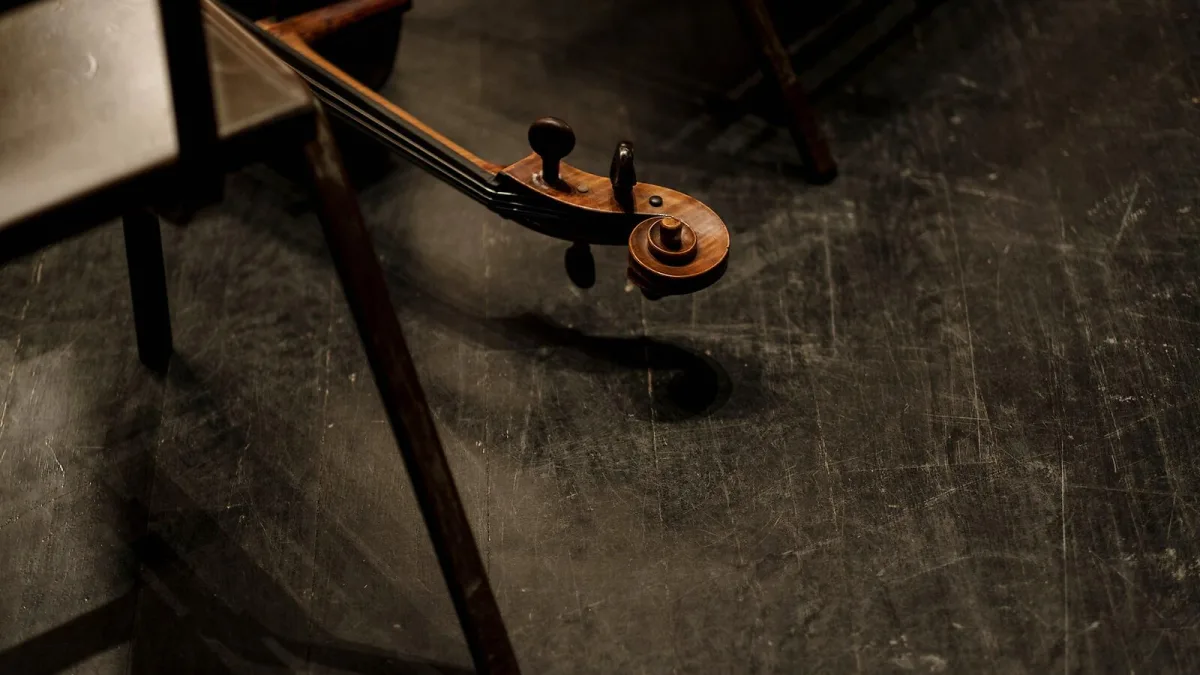 Cello Strings: A Complete Buyer's Guide