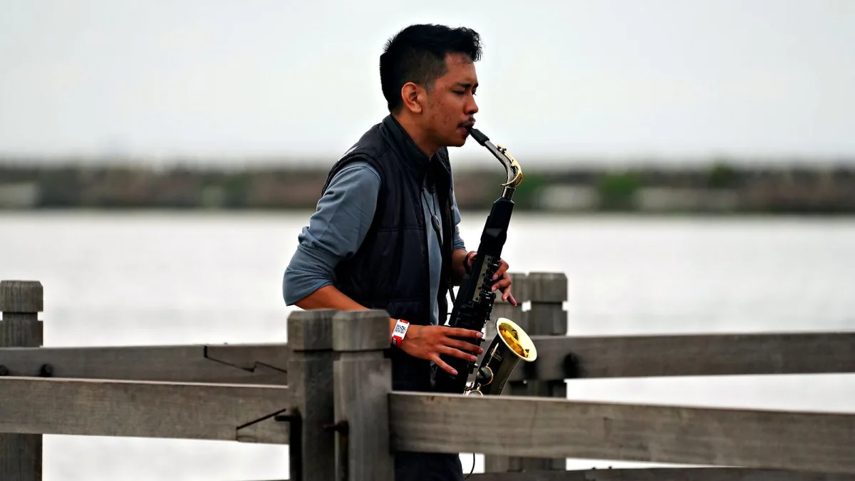 Clarinet Reeds: A Complete Buyer's Guide