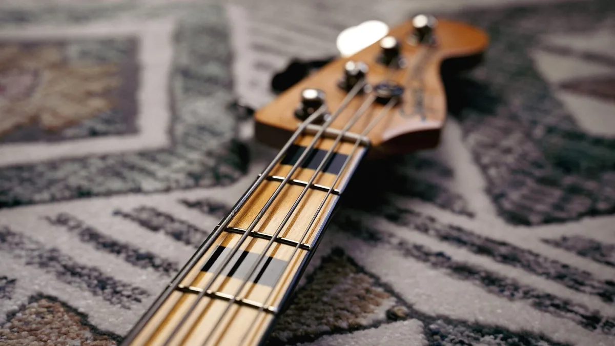 Common Bass Direct Warwick Mistakes to Avoid