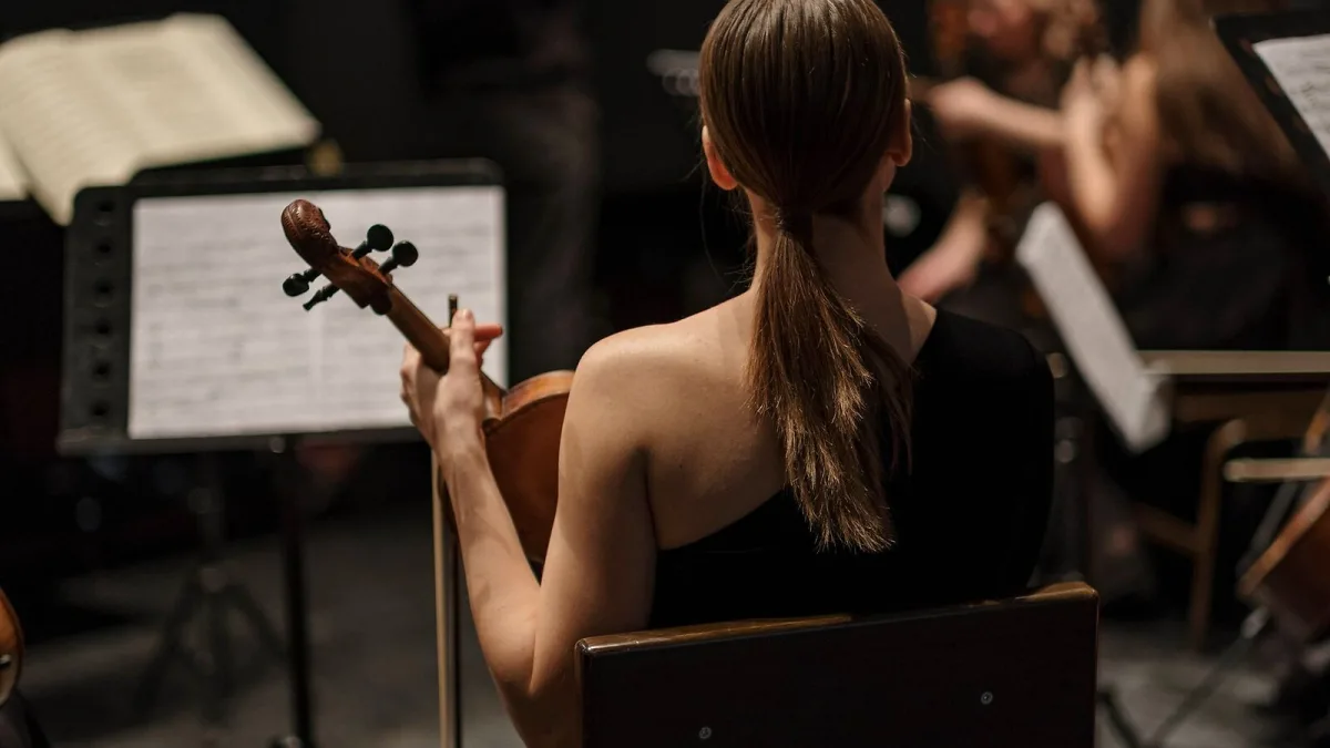 Concerto Subgenres, Explained