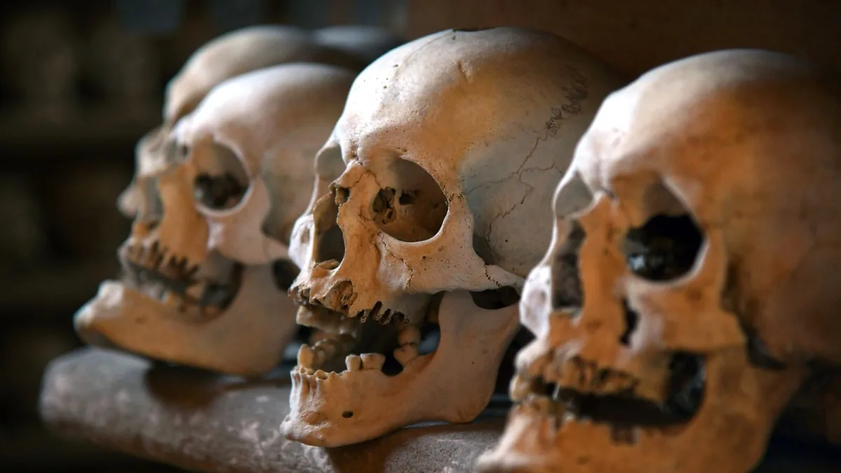 Death Metal Subgenres, Explained