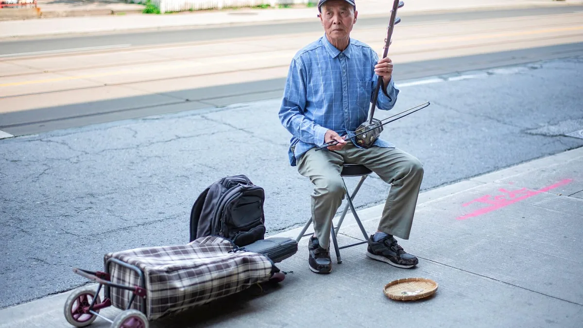 Erhu: A Complete Buyer's Guide