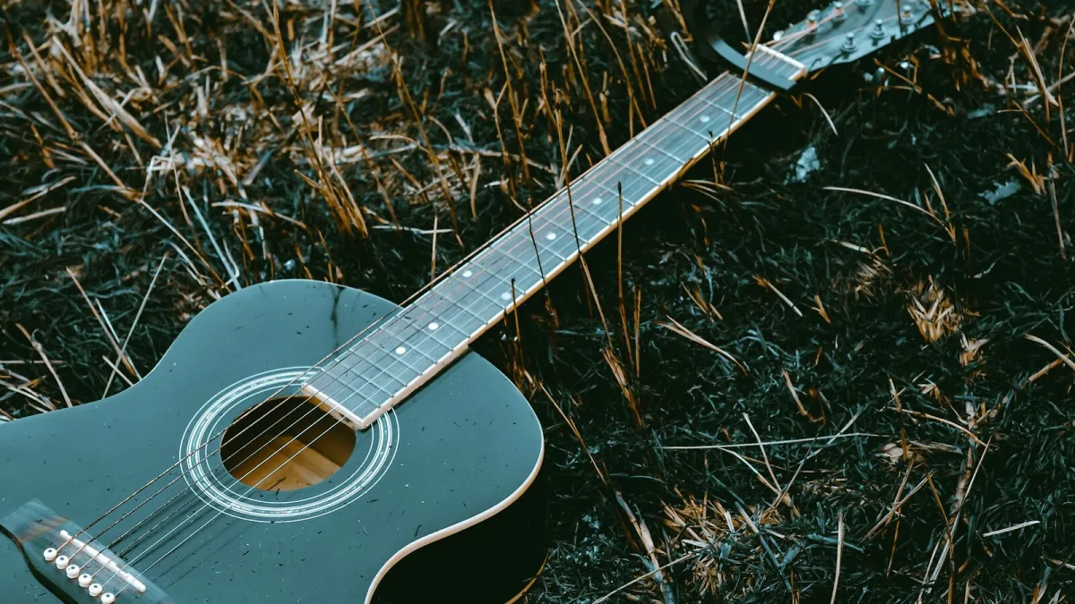 Essential Bluegrass Albums Explained