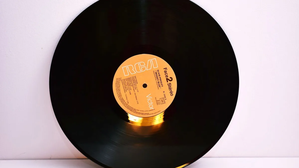 Essential Jungle Music Albums Explained