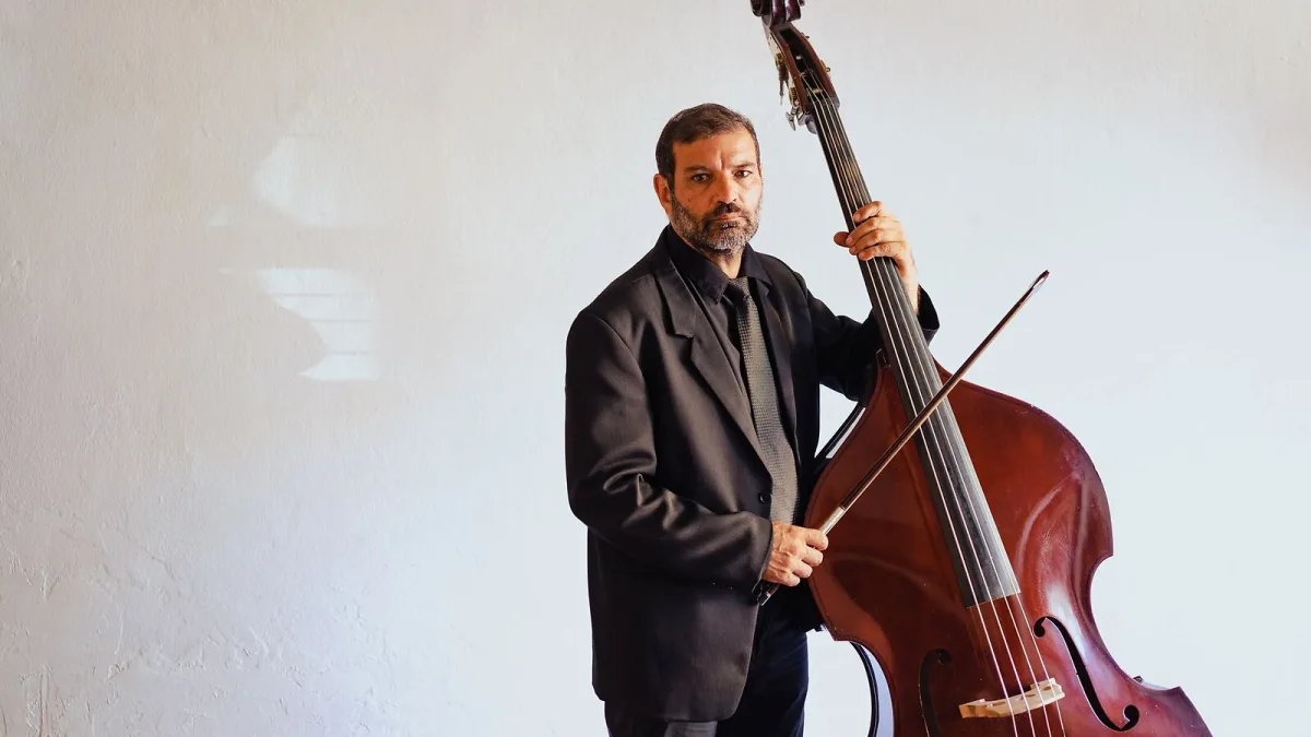 Fretless Bass Explained: Features, Types and Tips