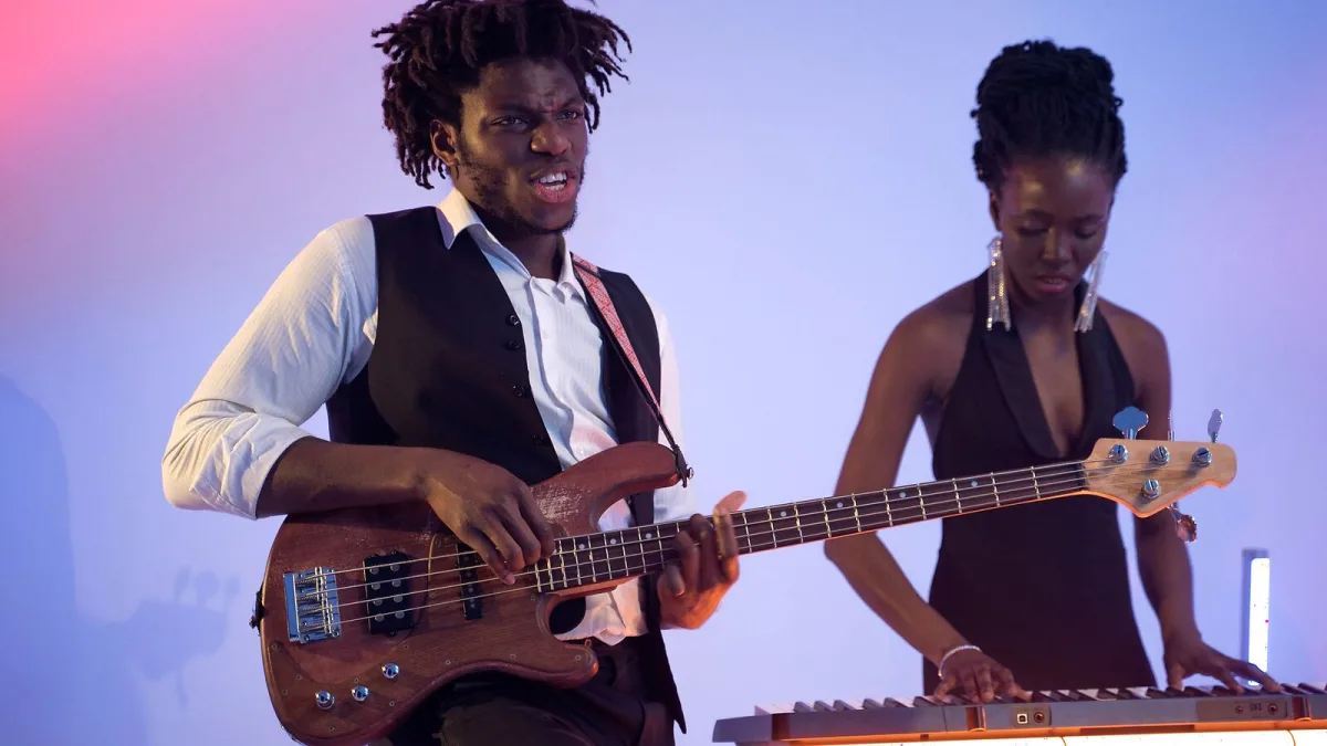 Fretless Bass Guitars: A Complete Buyer's Guide