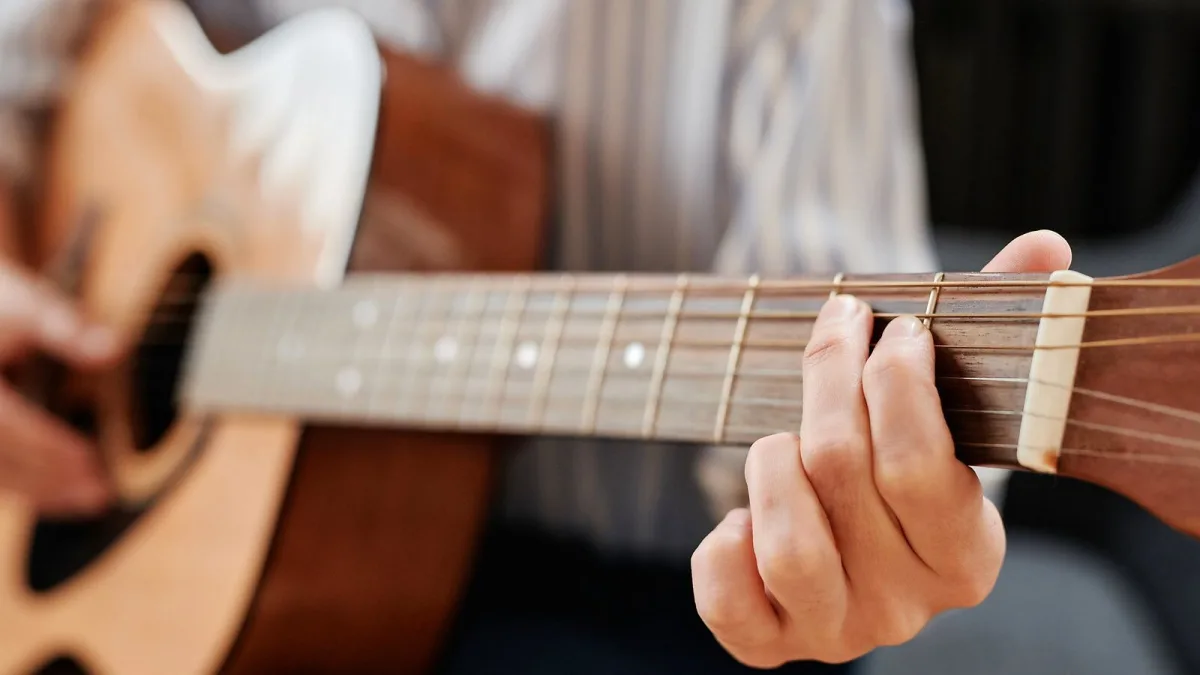 Fretless Bass Guitars Explained: Features, Types and Tips
