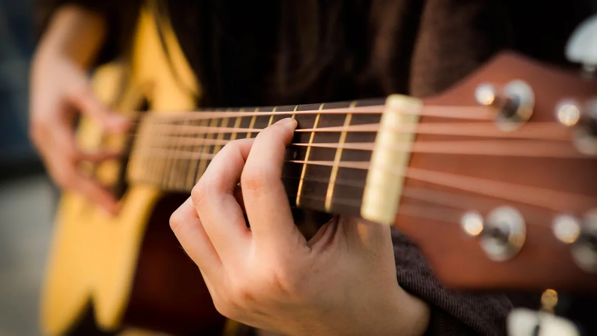 Frets Explained: Features, Types and Tips